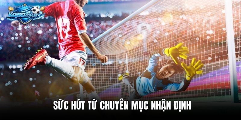 Sức hút từ chuyên mục nhận định